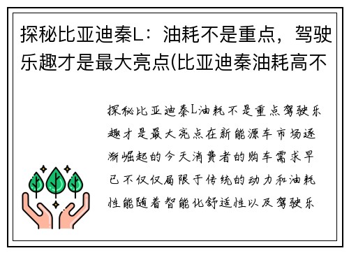 探秘比亚迪秦L：油耗不是重点，驾驶乐趣才是最大亮点(比亚迪秦油耗高不高)